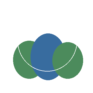 Arborvitae (Techny) reference icon