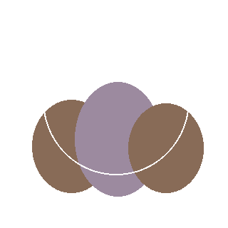 Azalea 'Girard's Rose' reference icon