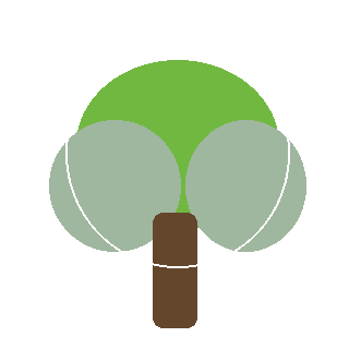 Black Gum (Nyssa sylvatica) reference icon