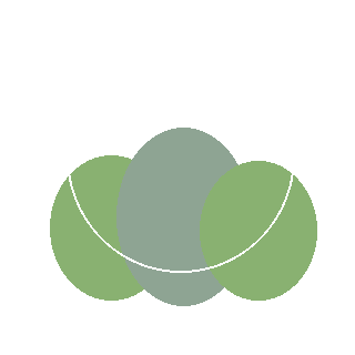 Blueberry (Vaccinium spp.) reference icon