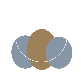 Bobo Hydrangea reference icon