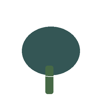 Common Rush (Juncus effusus) reference icon