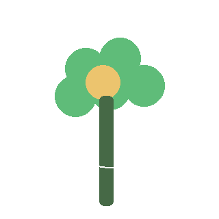 Coneflower reference icon