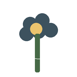 Coreopsis 'Moonbeam' reference icon