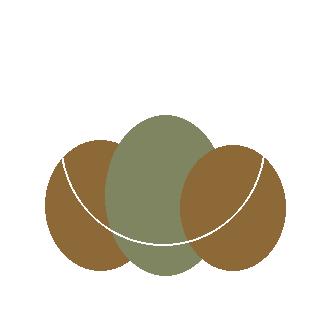 Groundsel / Saltbush (Baccharis halimifolia) reference icon