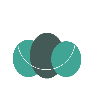 Little Lime Hydrangea reference icon