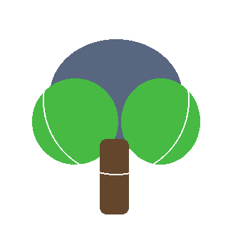Red Oak (Quercus rubra) reference icon