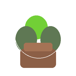 Rhaphidophora Tetrasperma reference icon