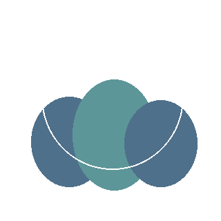 Saltmarsh Elder (Iva frutescens) reference icon