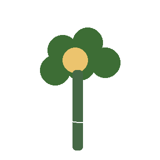 Sedum (Autumn Joy) reference icon