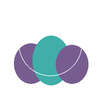 Summer Crush Hydrangea reference icon