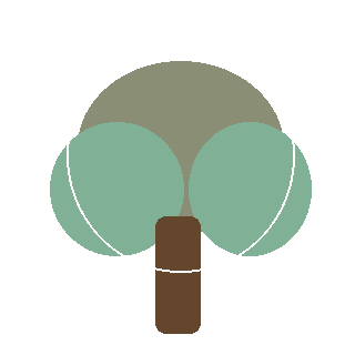 Tonto Crape Myrtle reference icon