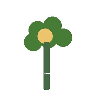 Wild Columbine (Aquilegia canadensis) reference icon