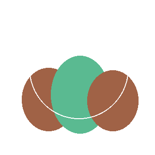 Witchhazel (Hamamelis virginiana) reference icon